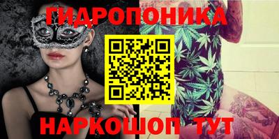 соль ск Партизанск