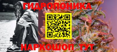 Альфа ПВП Пенза