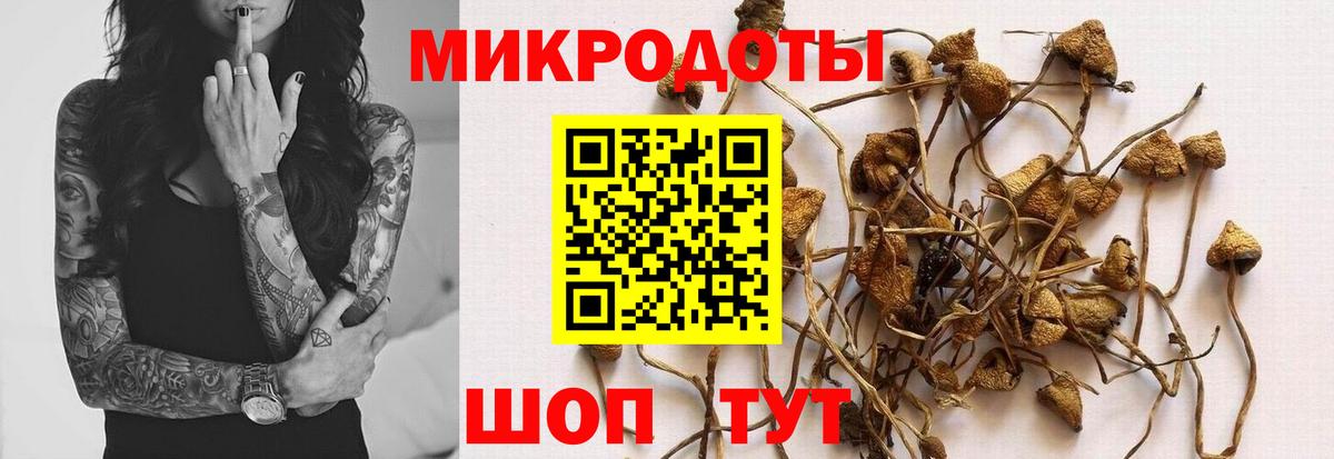 Псилоцибиновые грибы ЛСД  цена   Вход с VPN  Тихвин  Галлюциногенные грибы MAGIC MUSHROOMS 