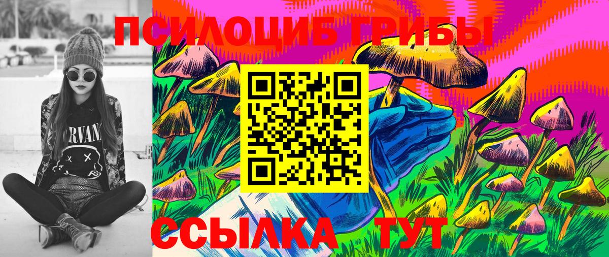 Галлюциногенные грибы Cubensis Тихвин